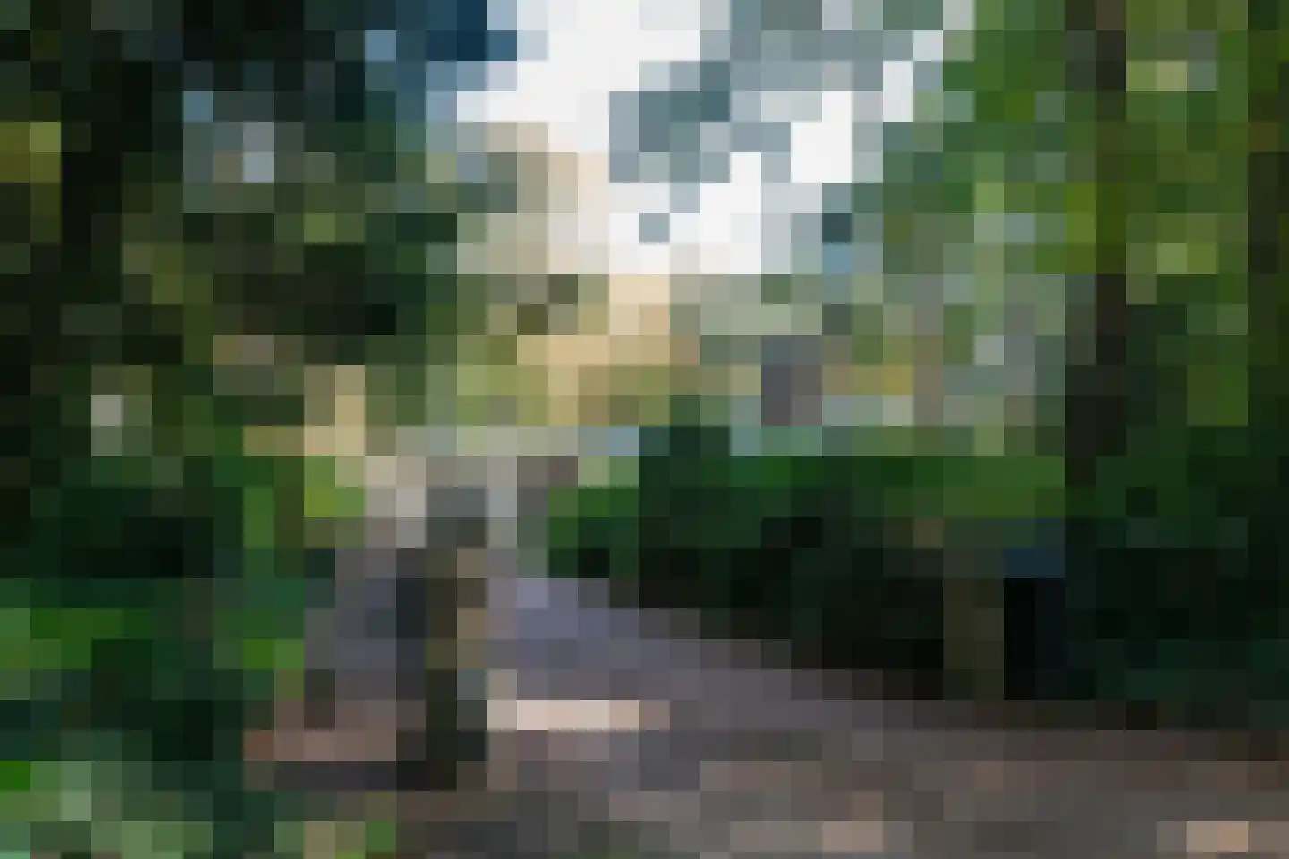 Blikkertweg 3 Holten thumbnail 37