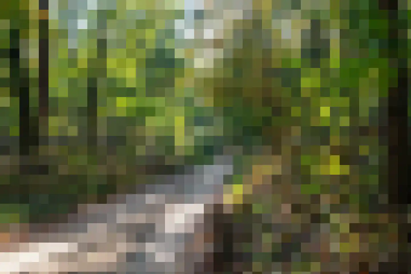 Blikkertweg 3 Holten thumbnail 39