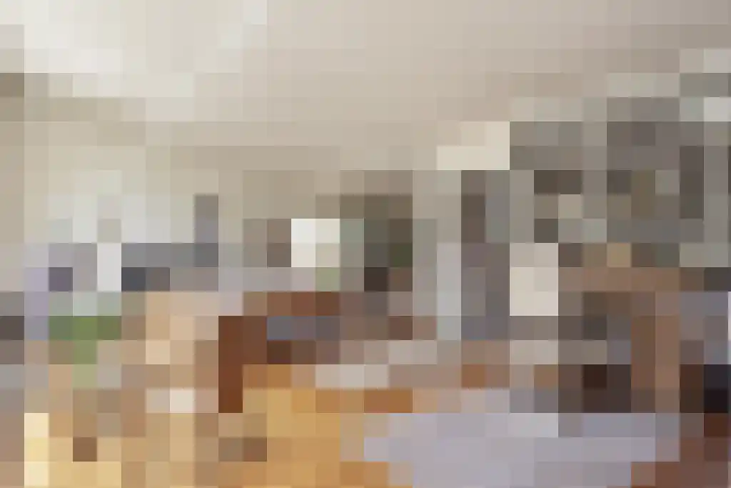 Blikkertweg 3 Holten thumbnail 4