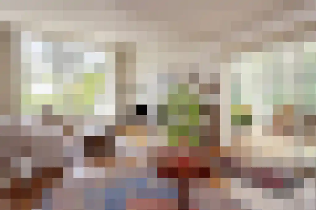 Blikkertweg 3 Holten thumbnail 5