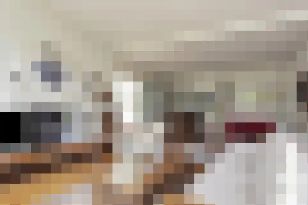 Blikkertweg 3 Holten thumbnail 7