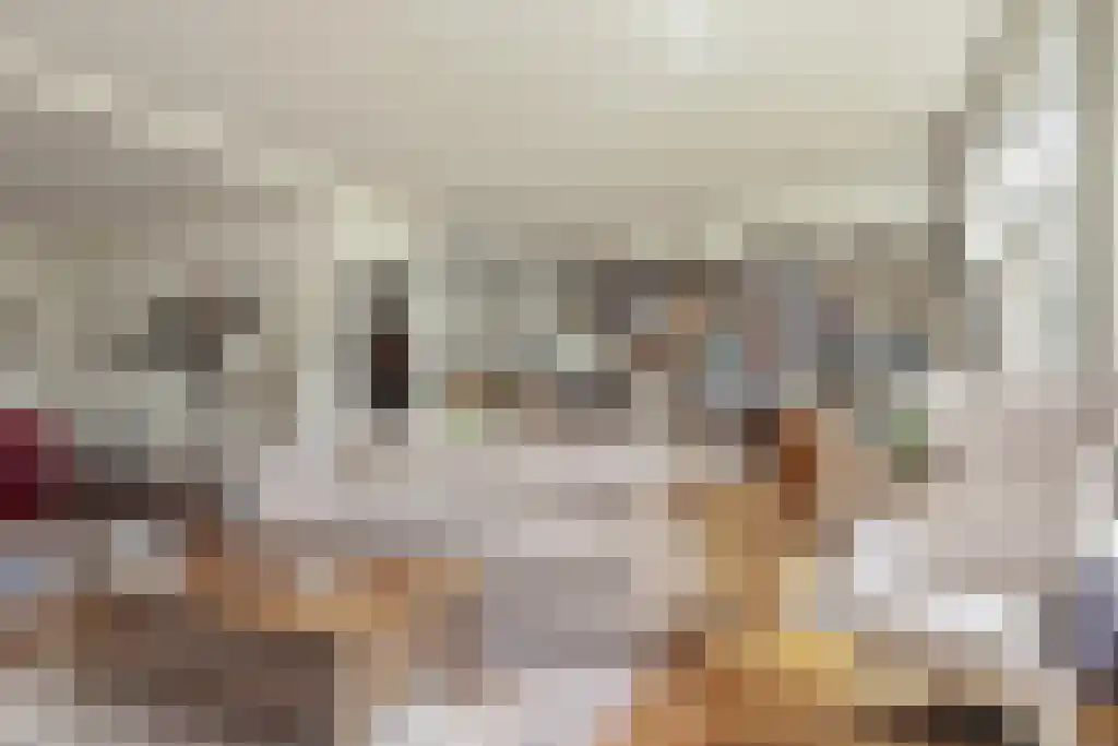 Blikkertweg 3 Holten thumbnail 8