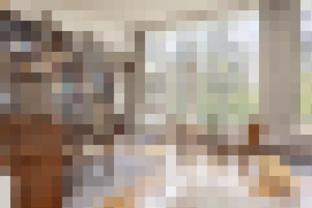 Blikkertweg 3 Holten thumbnail 9