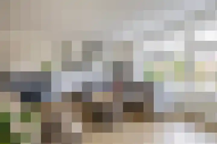 Bliksdam 10 Hierden thumbnail 10