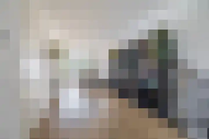 Bliksdam 10 Hierden thumbnail 11