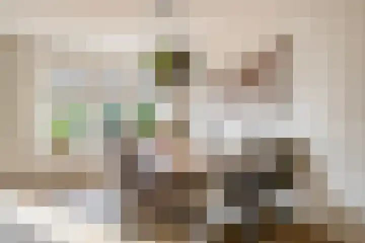 Bliksdam 10 Hierden thumbnail 13