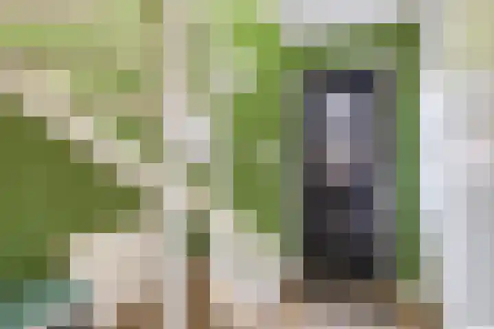 Bliksdam 10 Hierden thumbnail 15
