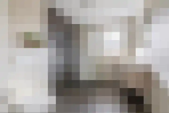 Bliksdam 10 Hierden thumbnail 16