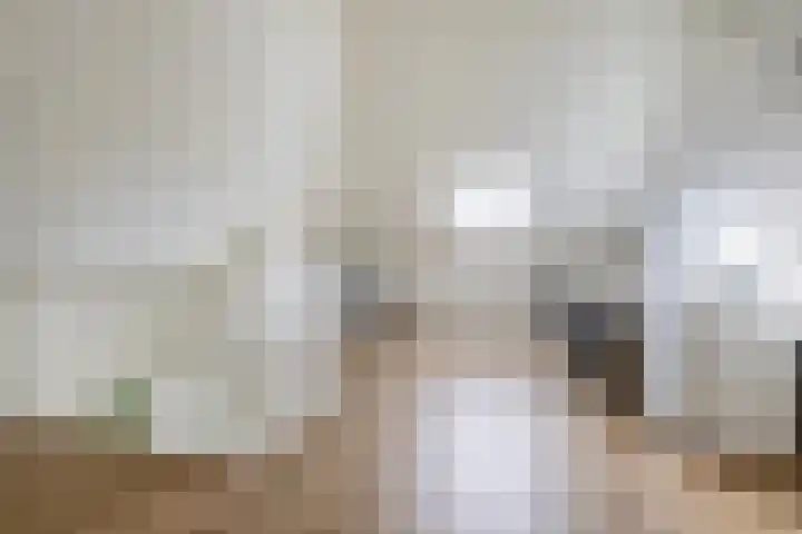 Bliksdam 10 Hierden thumbnail 25