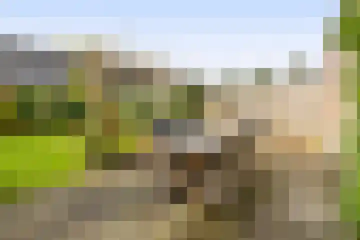 Bliksdam 10 Hierden thumbnail 26