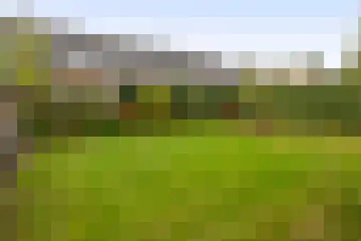 Bliksdam 10 Hierden thumbnail 27