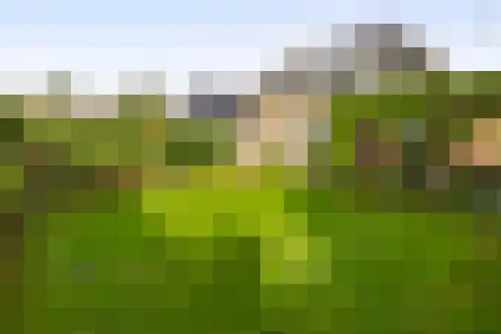 Bliksdam 10 Hierden thumbnail 28