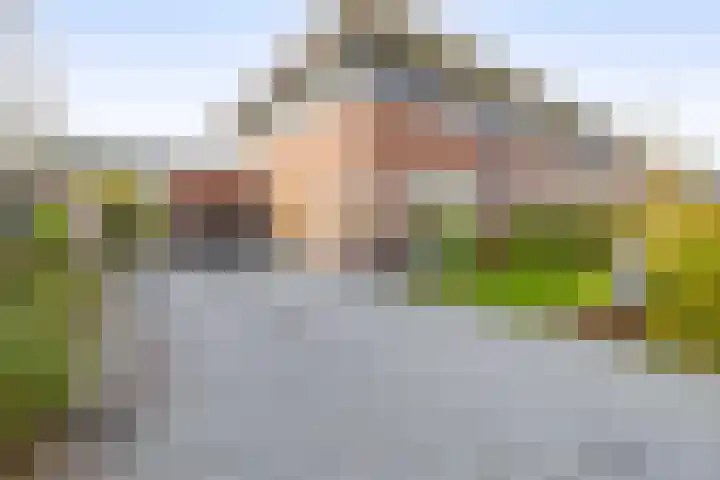 Bliksdam 10 Hierden thumbnail 4
