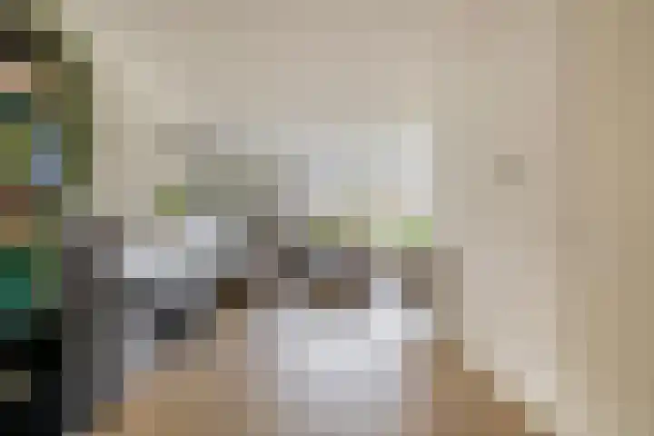 Bliksdam 10 Hierden thumbnail 7