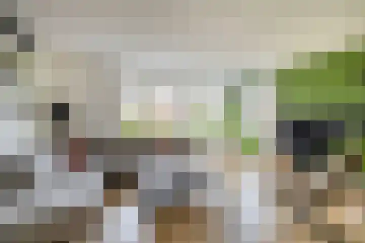 Bliksdam 10 Hierden thumbnail 8