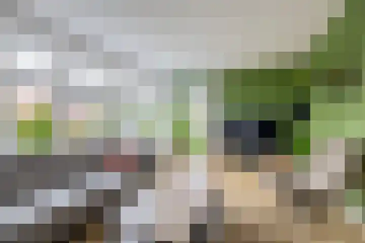 Bliksdam 10 Hierden thumbnail 9