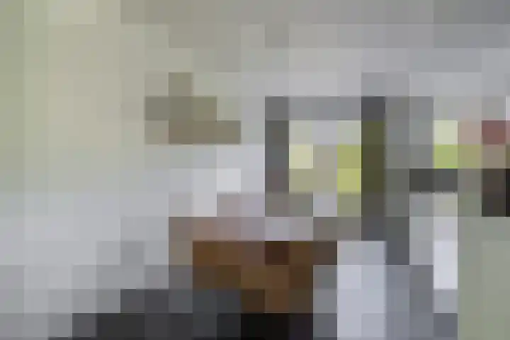 Bliksdam 17 Hierden thumbnail 10