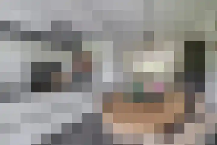 Bliksdam 17 Hierden thumbnail 11
