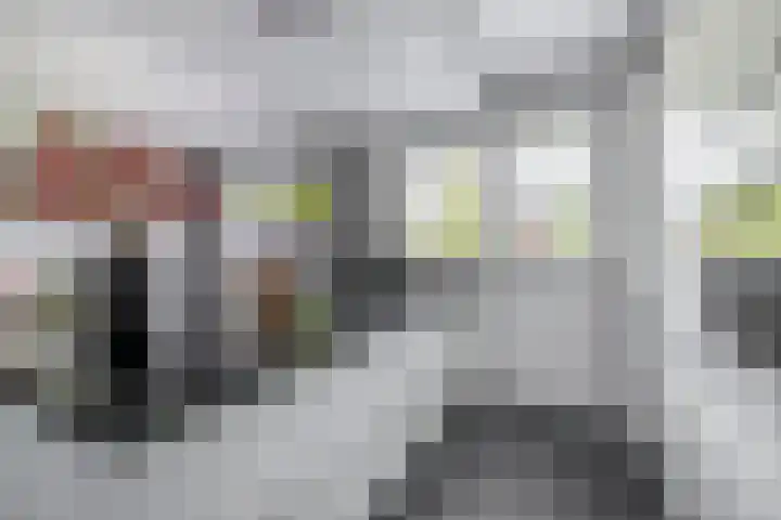 Bliksdam 17 Hierden thumbnail 12