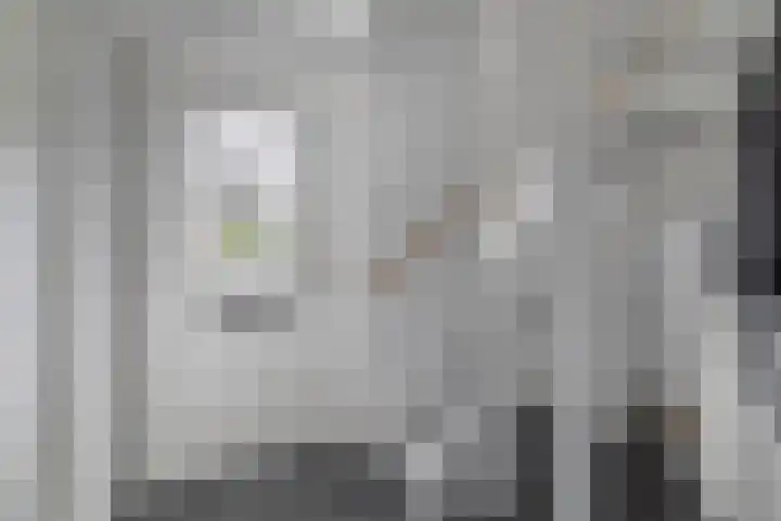 Bliksdam 17 Hierden thumbnail 13