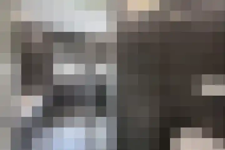 Bliksdam 17 Hierden thumbnail 14