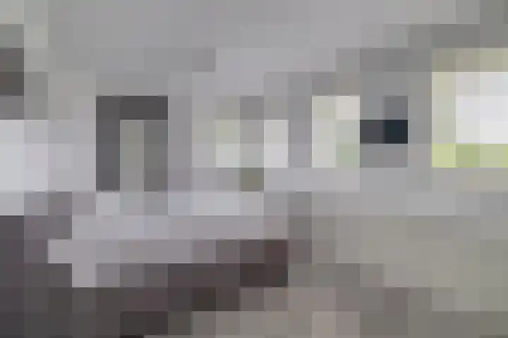 Bliksdam 17 Hierden thumbnail 16