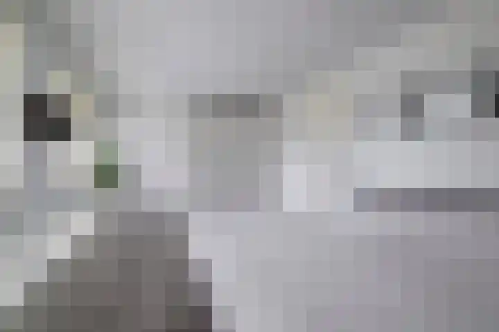 Bliksdam 17 Hierden thumbnail 17