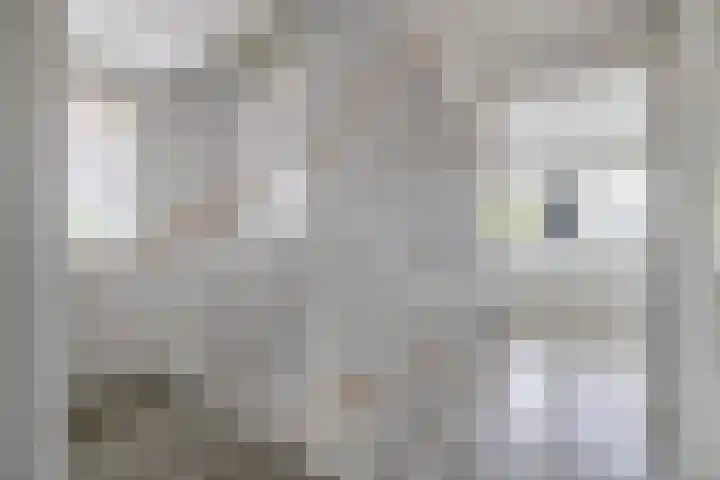 Bliksdam 17 Hierden thumbnail 19
