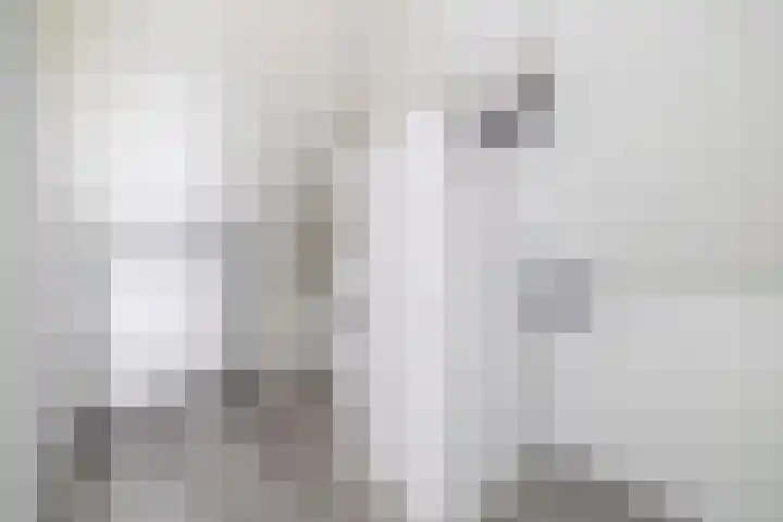 Bliksdam 17 Hierden thumbnail 20
