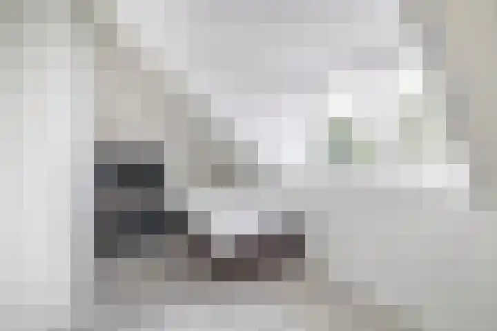Bliksdam 17 Hierden thumbnail 21