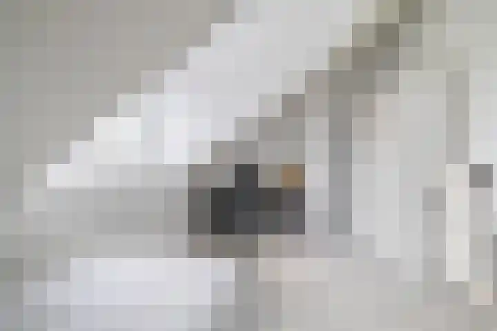 Bliksdam 17 Hierden thumbnail 22