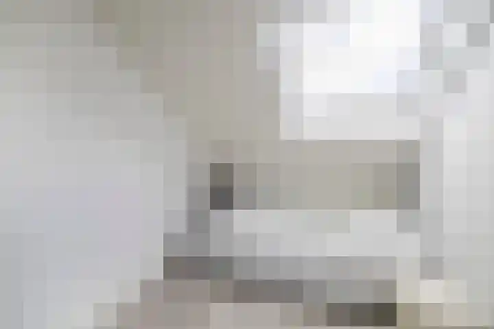 Bliksdam 17 Hierden thumbnail 23
