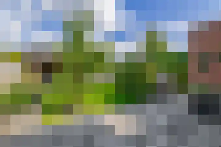 Bliksdam 17 Hierden thumbnail 24