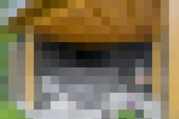 Bliksdam 17 Hierden thumbnail 26