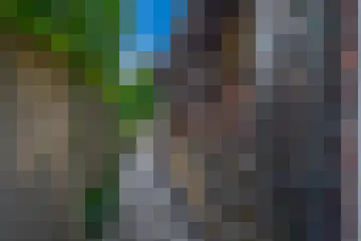 Bliksdam 17 Hierden thumbnail 30