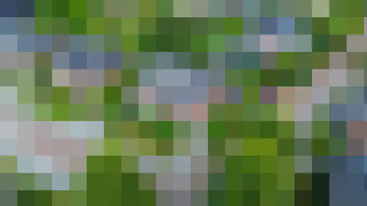 Bliksdam 17 Hierden thumbnail 32