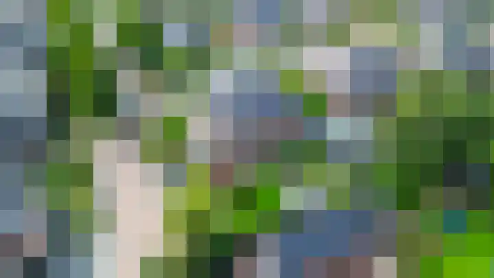 Bliksdam 17 Hierden thumbnail 33