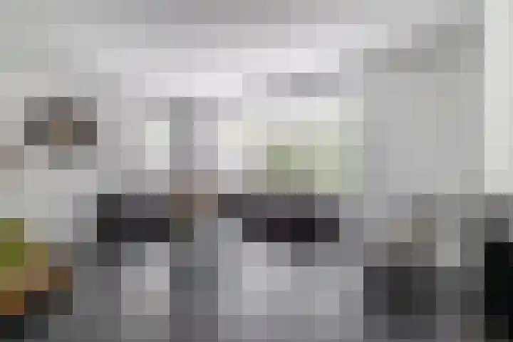Bliksdam 17 Hierden thumbnail 6