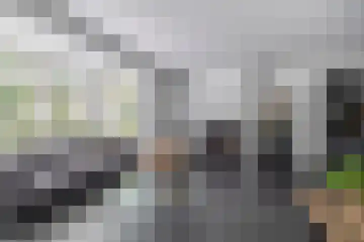 Bliksdam 17 Hierden thumbnail 7