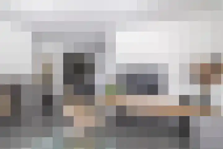 Bliksdam 17 Hierden thumbnail 8