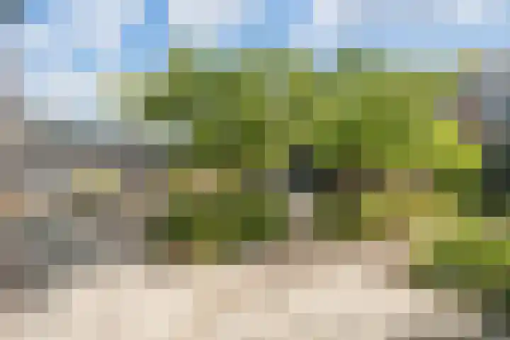 Bliksemschicht 10 Arnhem thumbnail 33