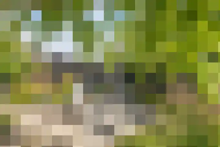 Bliksemschicht 10 Arnhem thumbnail 34