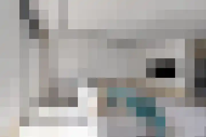 Bliksemschicht 10 Arnhem thumbnail 8