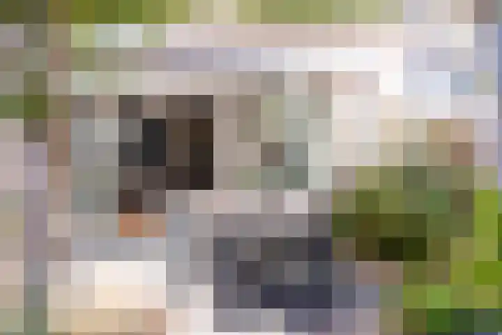 Bliksemschicht 36 Arnhem thumbnail 30