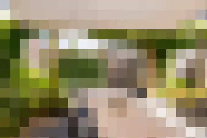 Bliksemschicht 36 Arnhem thumbnail 32