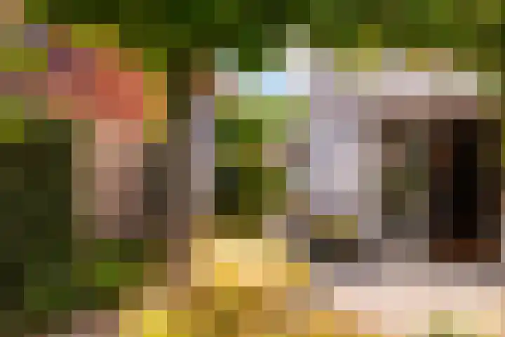 Bliksemschicht 36 Arnhem thumbnail 33