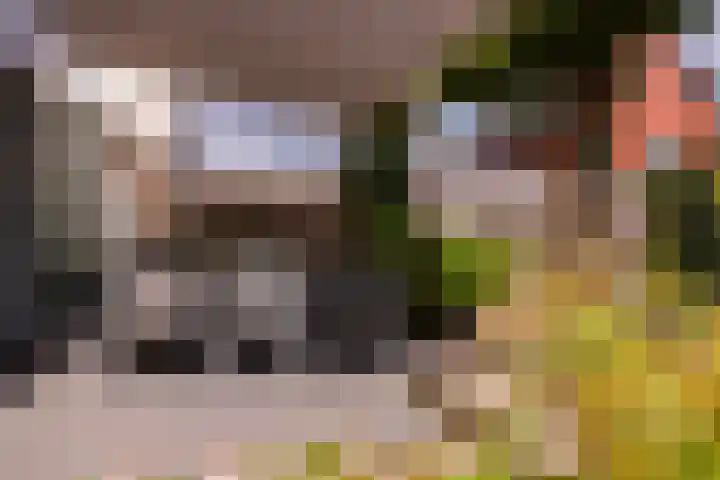 Bliksemschicht 36 Arnhem thumbnail 35