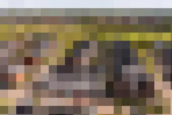 Bliksemschicht 36 Arnhem thumbnail 36