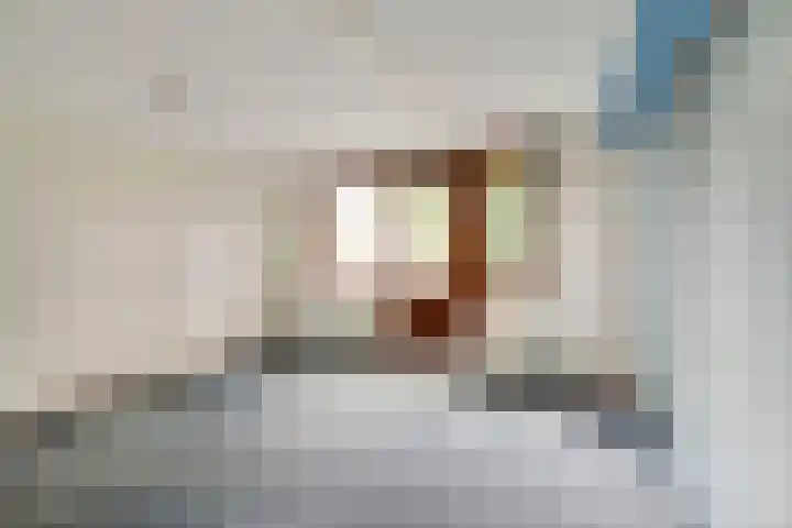 Blikslagerstraat 9 Schiedam thumbnail 21