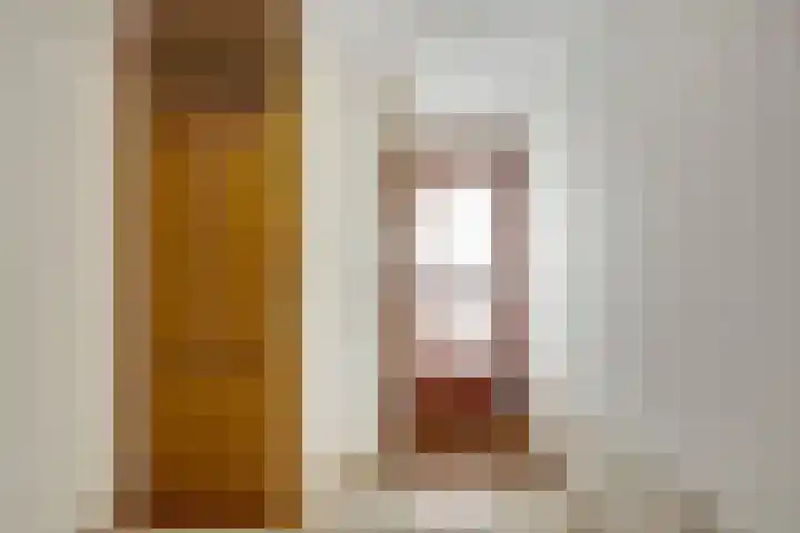 Blikslagerstraat 9 Schiedam thumbnail 7